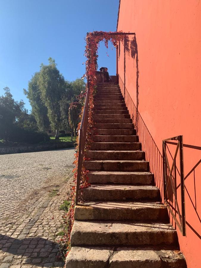 Casette Rosse Nel Borgo Medievale Di Fossanova Latina Exterior photo