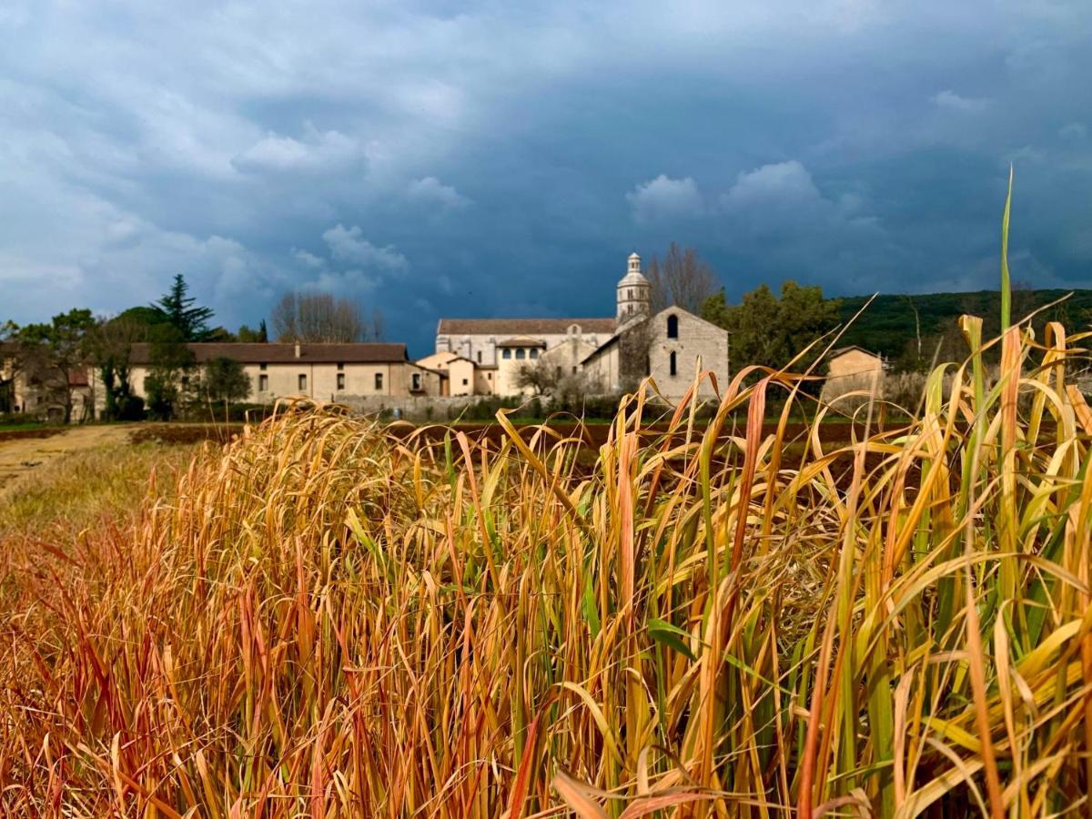 Casette Rosse Nel Borgo Medievale Di Fossanova Latina Exterior photo